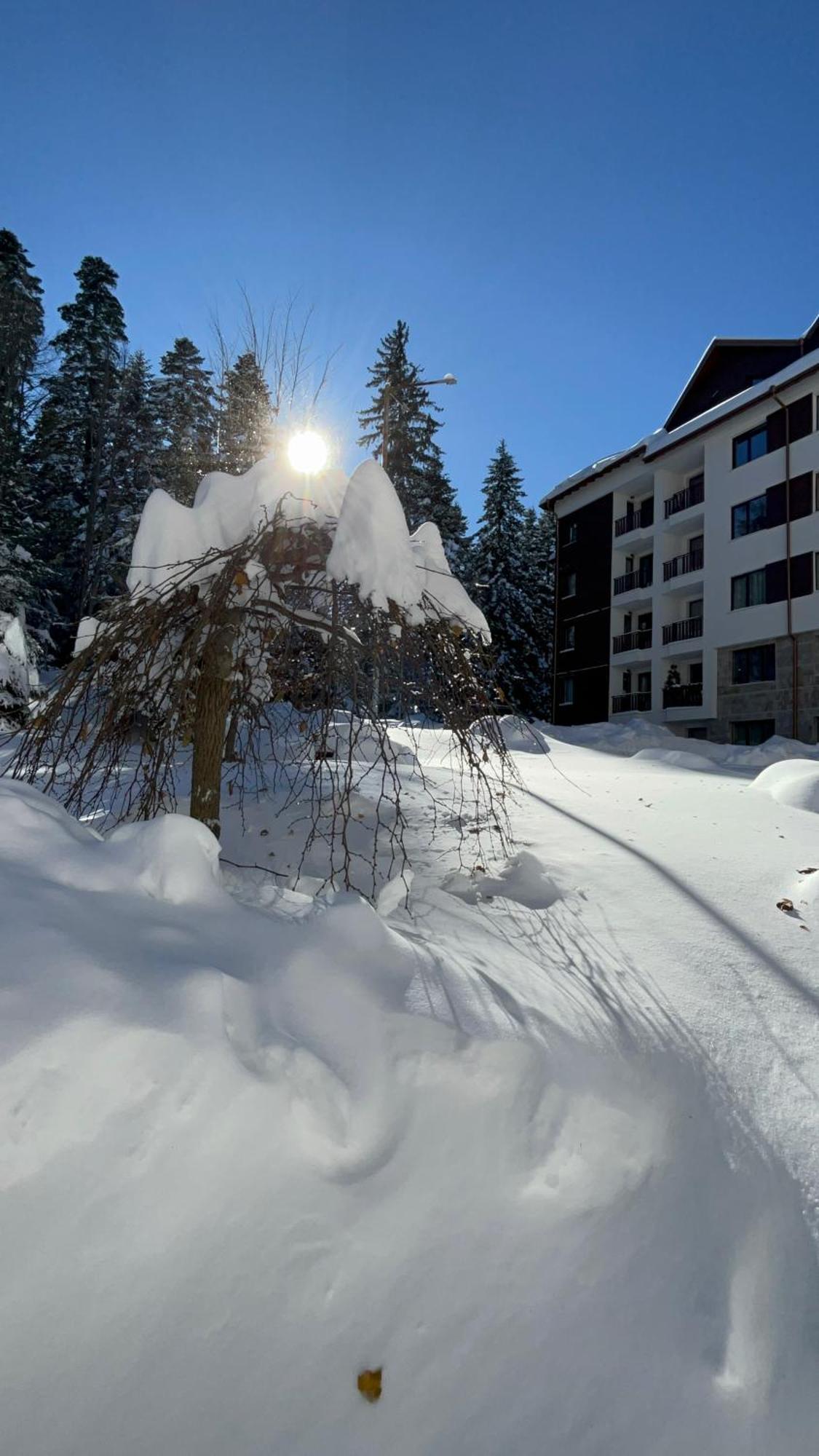Borovets Gardens B21 Morunov Apart Extérieur photo