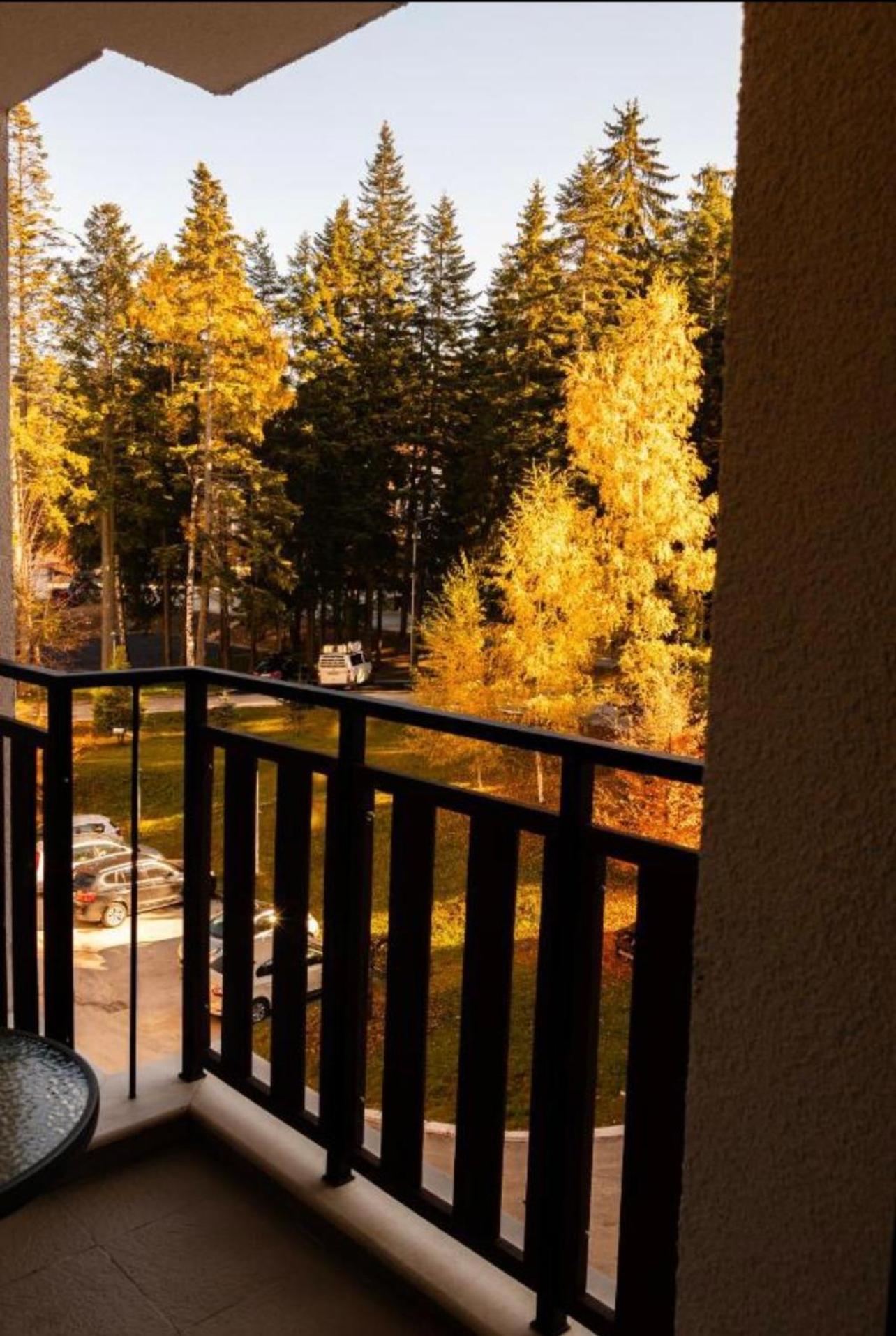 Borovets Gardens B21 Morunov Apart Extérieur photo